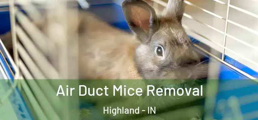 Air Duct Mice Removal Highland - IN