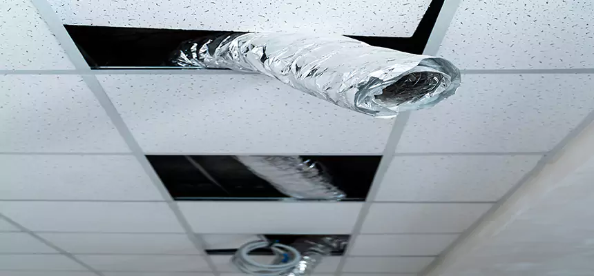 Our Air Duct Pet Hair Removal Services in Highland, IN