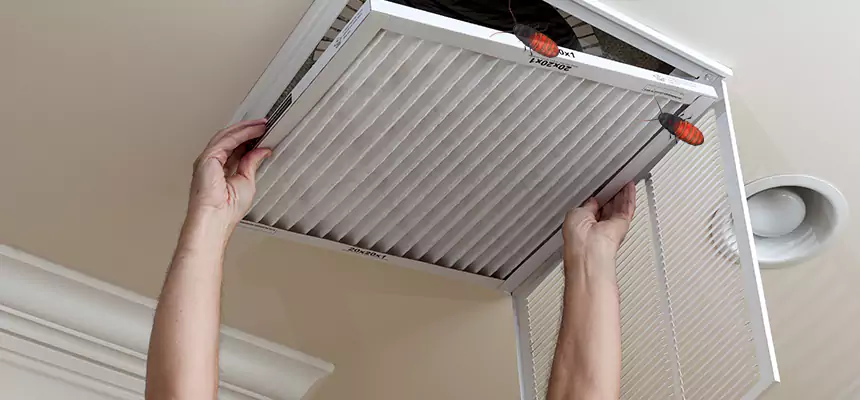 Our Insect Removal from Air Ducts Services in Highland, IN