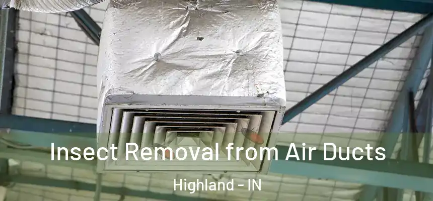 Insect Removal from Air Ducts Highland - IN