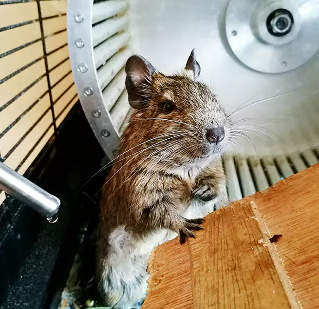 Why Homeowners & Businesses Trust Us Highland, IN